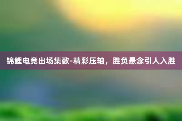 锦鲤电竞出场集数-精彩压轴，胜负悬念引人入胜